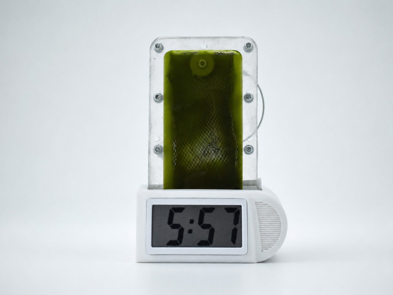 biological battery，Biocell，environment protection，originality，
