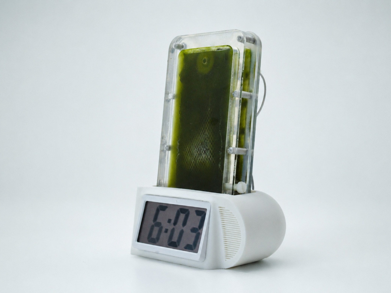 biological battery，Biocell，environment protection，originality，