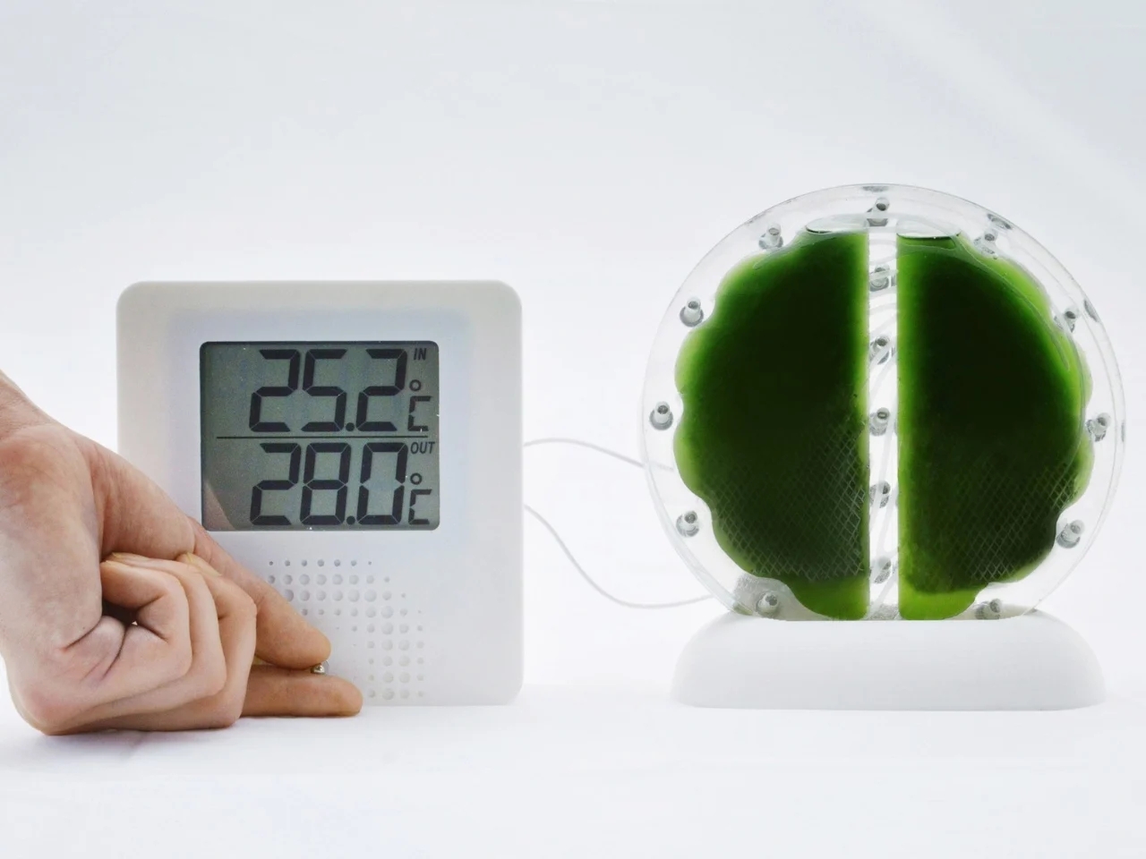 biological battery，Biocell，environment protection，originality，