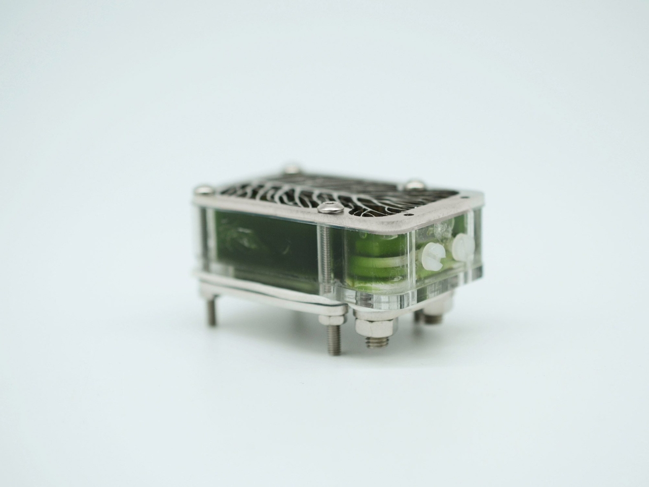 biological battery，Biocell，environment protection，originality，