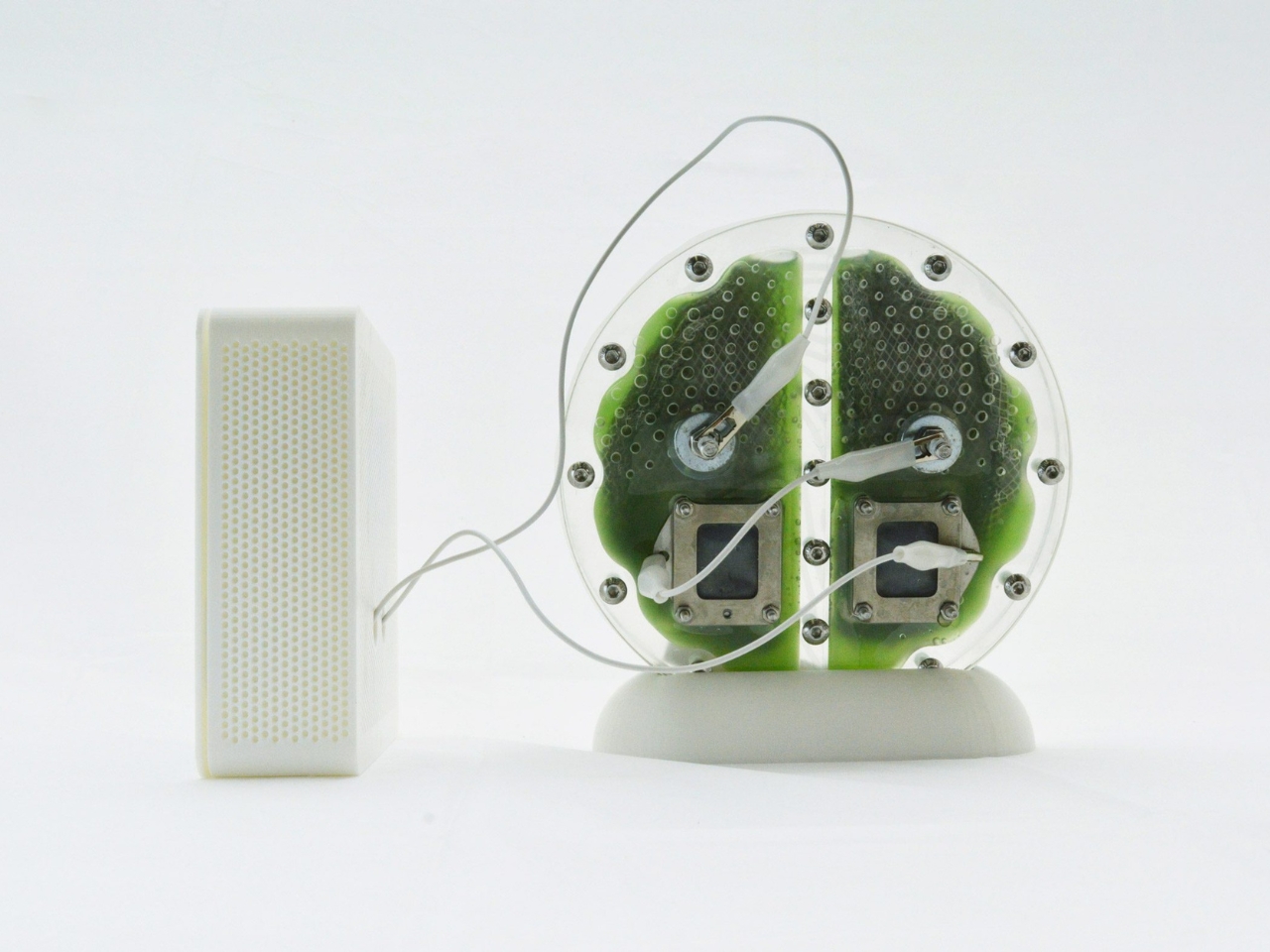 biological battery，Biocell，environment protection，originality，