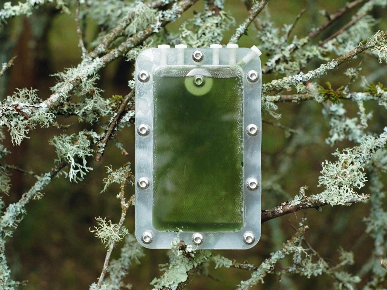 biological battery，Biocell，environment protection，originality，