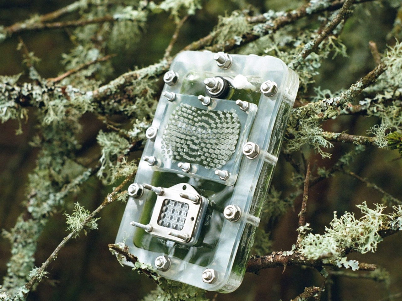 biological battery，Biocell，environment protection，originality，