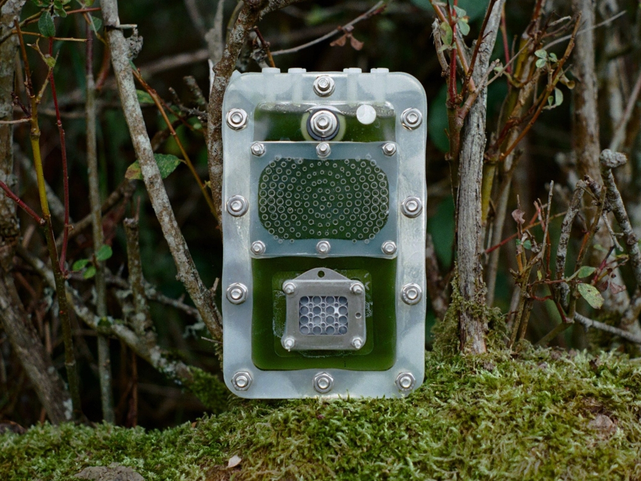 biological battery，Biocell，environment protection，originality，