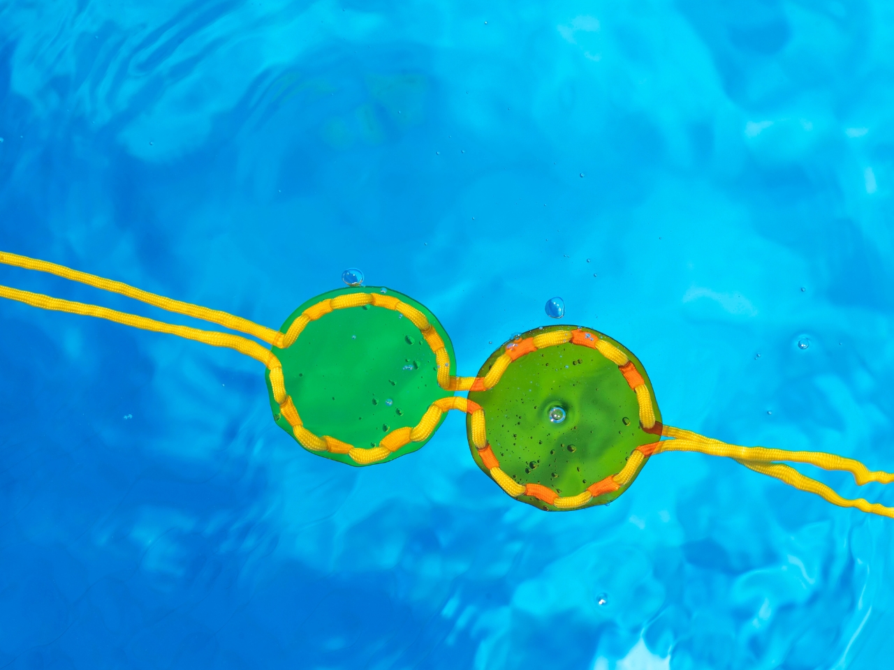 Water Glasses，concept，Sunglasses，Outdoor equipment，