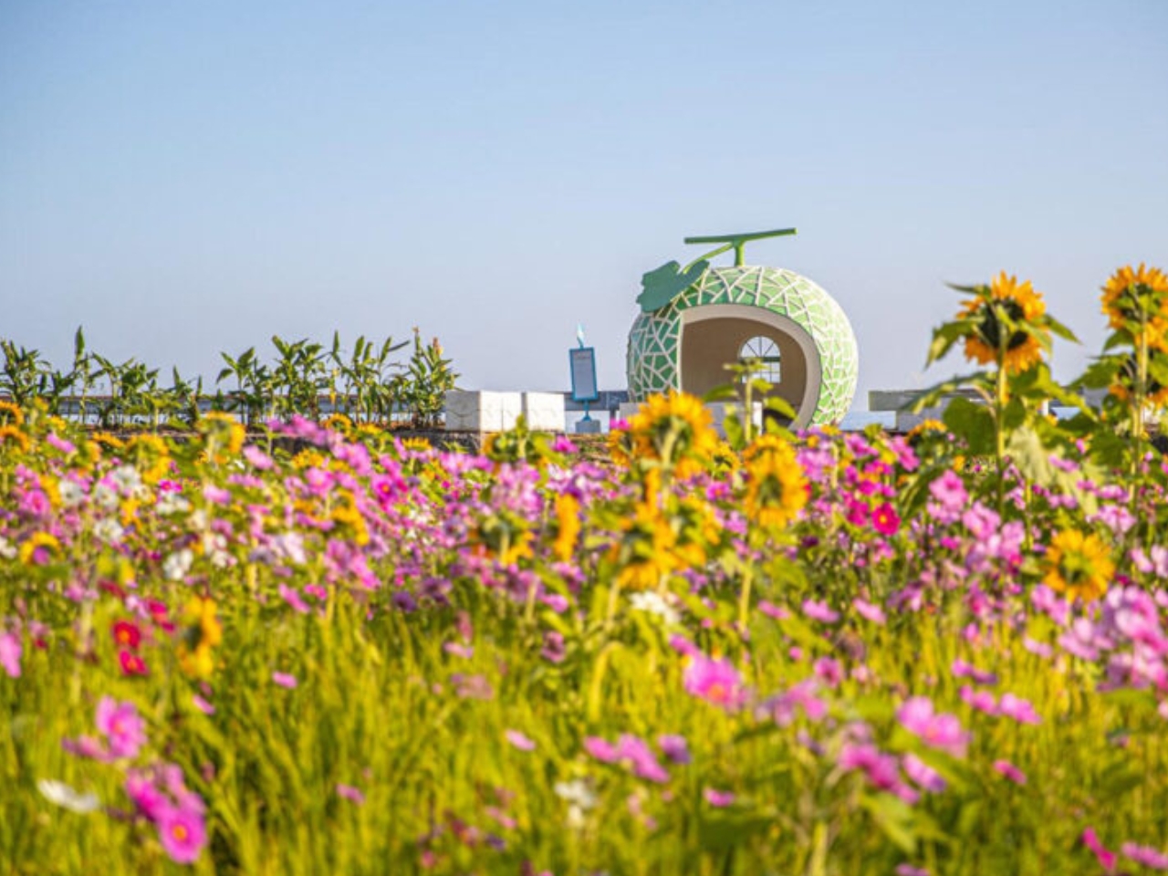 Tokimeki，Fruit shape bus station，environmental design，communal facilities，