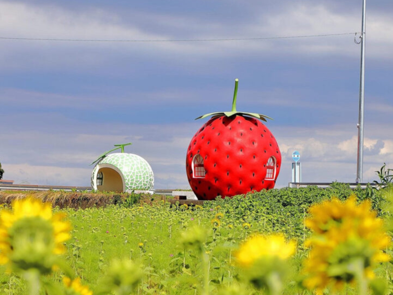 Tokimeki，Fruit shape bus station，environmental design，communal facilities，