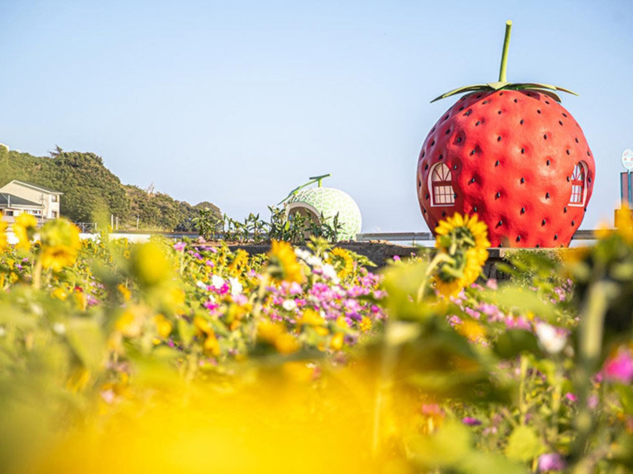 Tokimeki，Fruit shape bus station，environmental design，communal facilities，