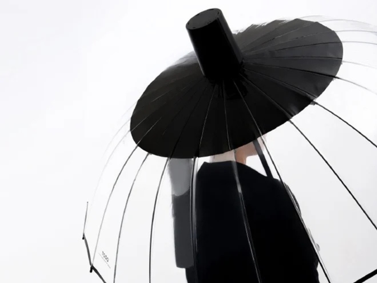 Umbrella，originality，articles for daily use，Gat Umbrella，