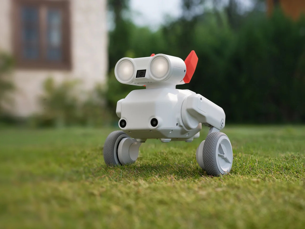 Beni，Digital，Electronic equipment，wheeled robot，