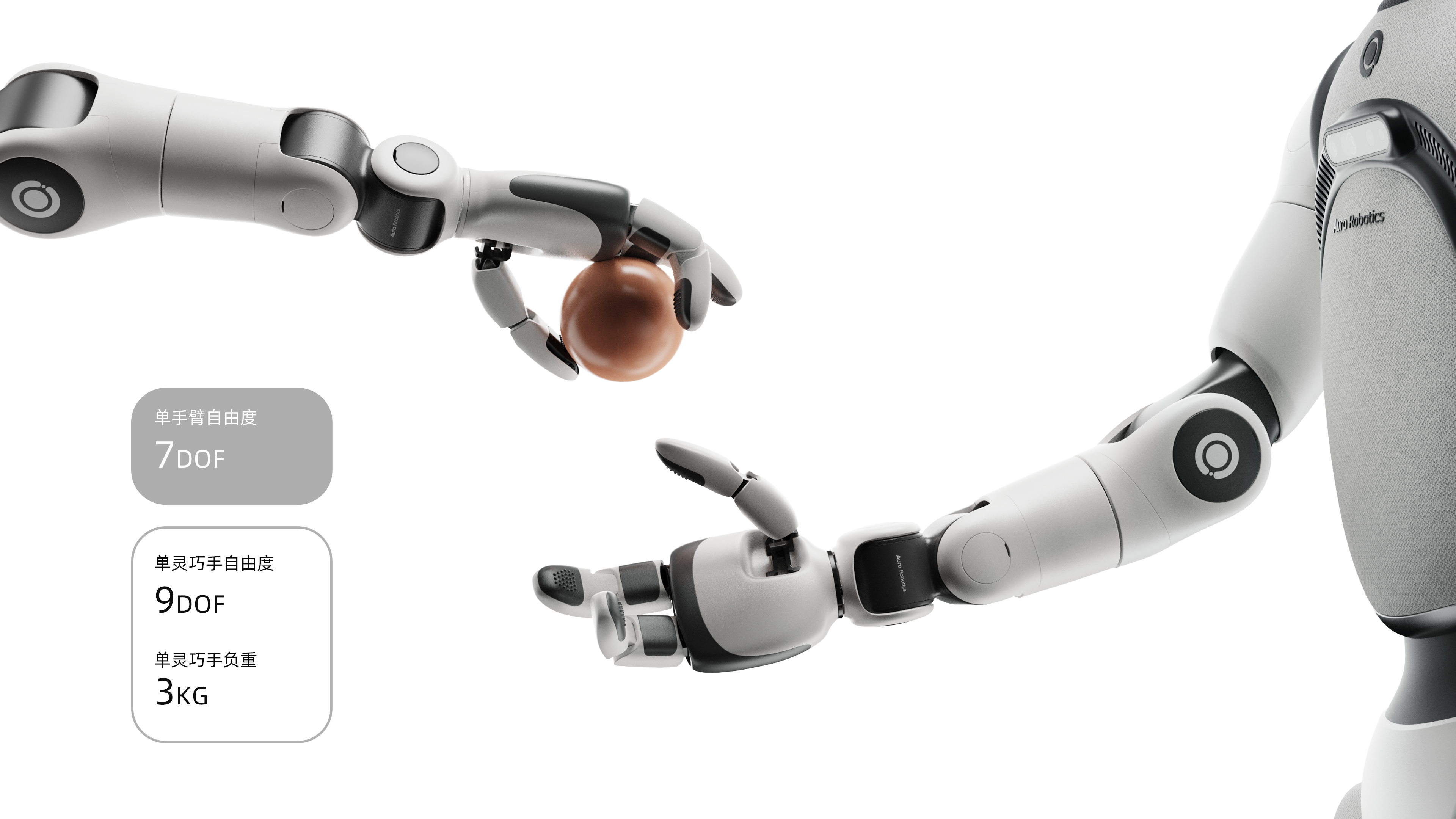 Humanoid robot，Robot design，Home robot，Designer job hunting，industrial design，physical intelligence，