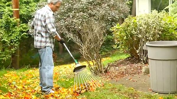 Leaf rake，Gardening tools，