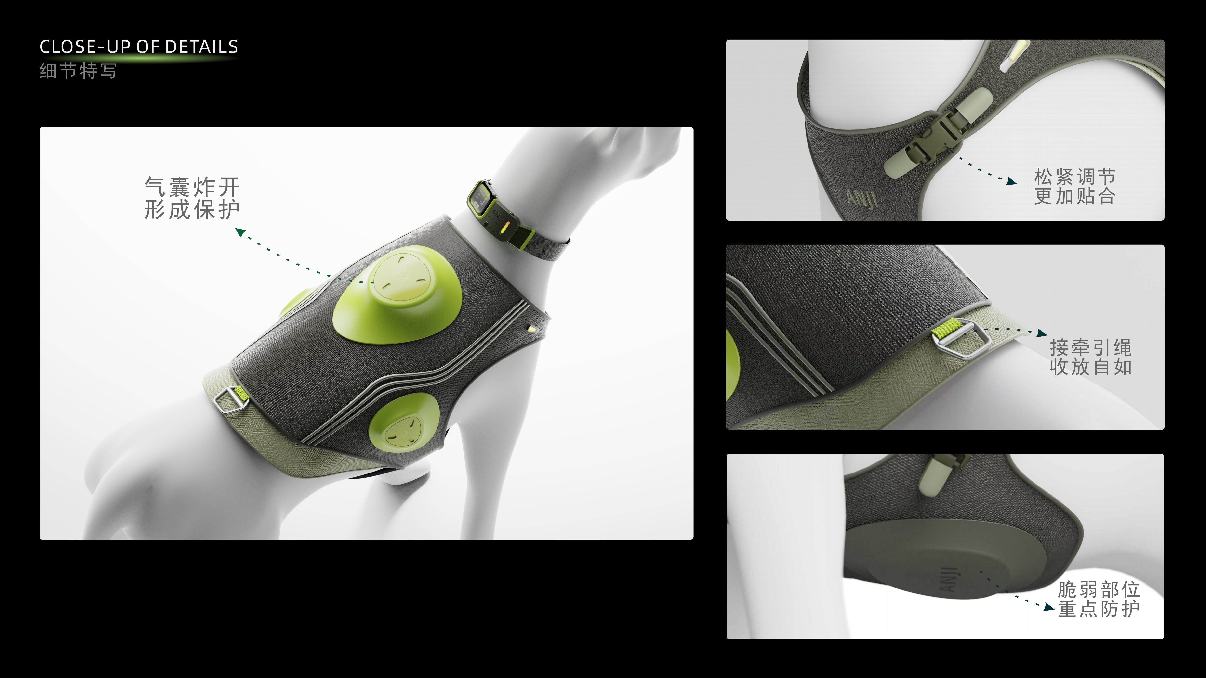 concept, pet, wear，