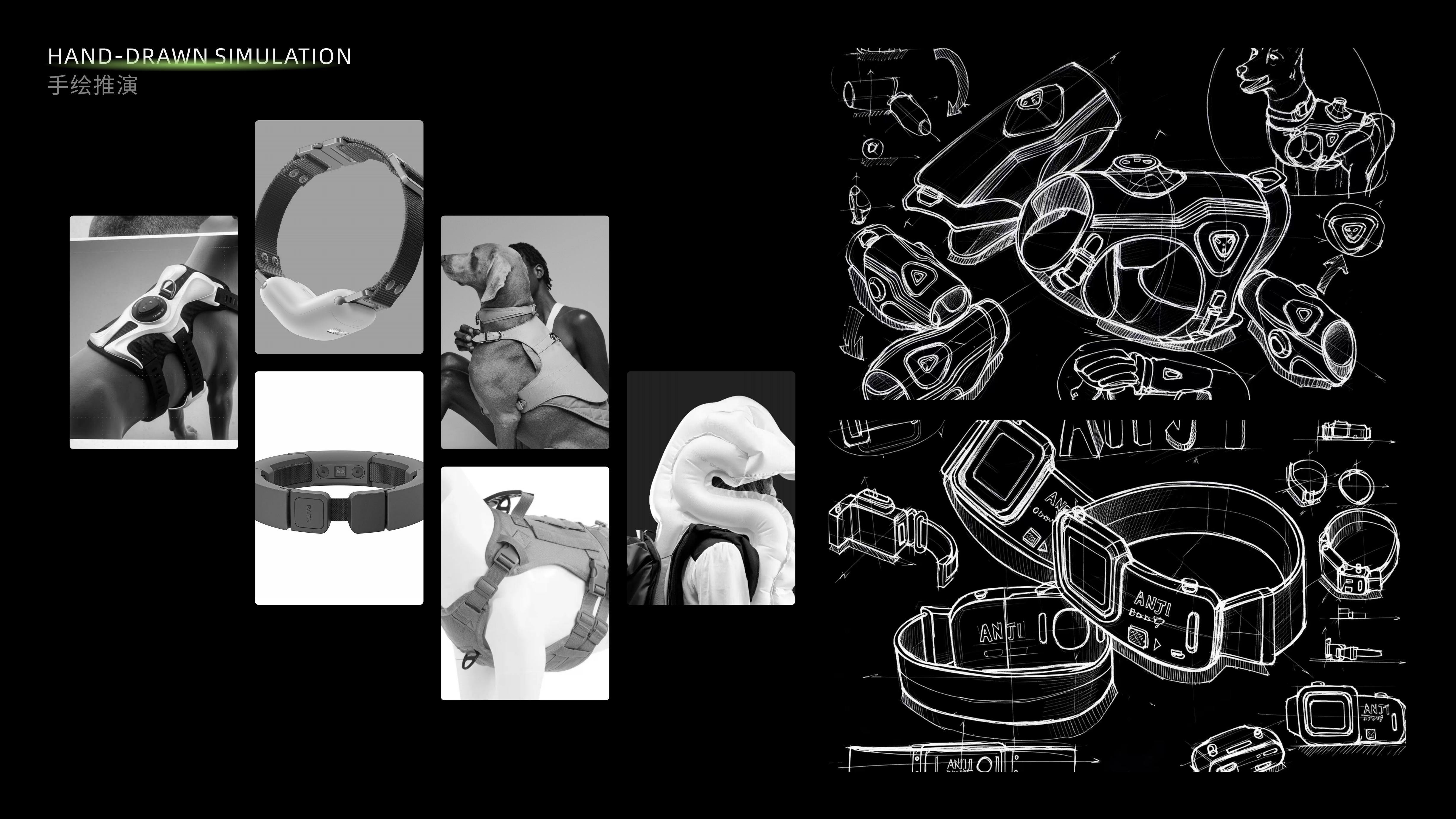 concept, pet, wear，