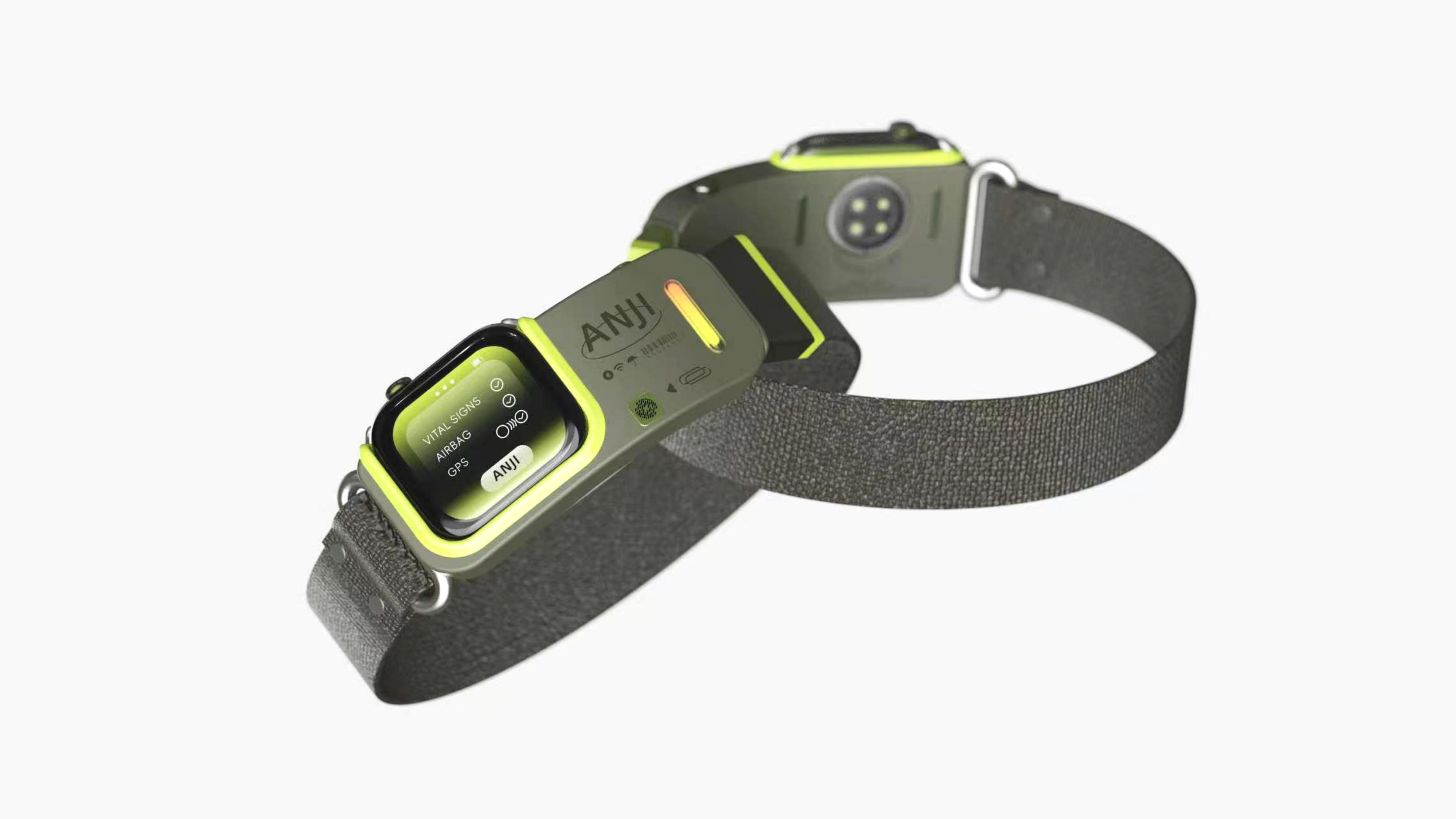 concept, pet, wear，