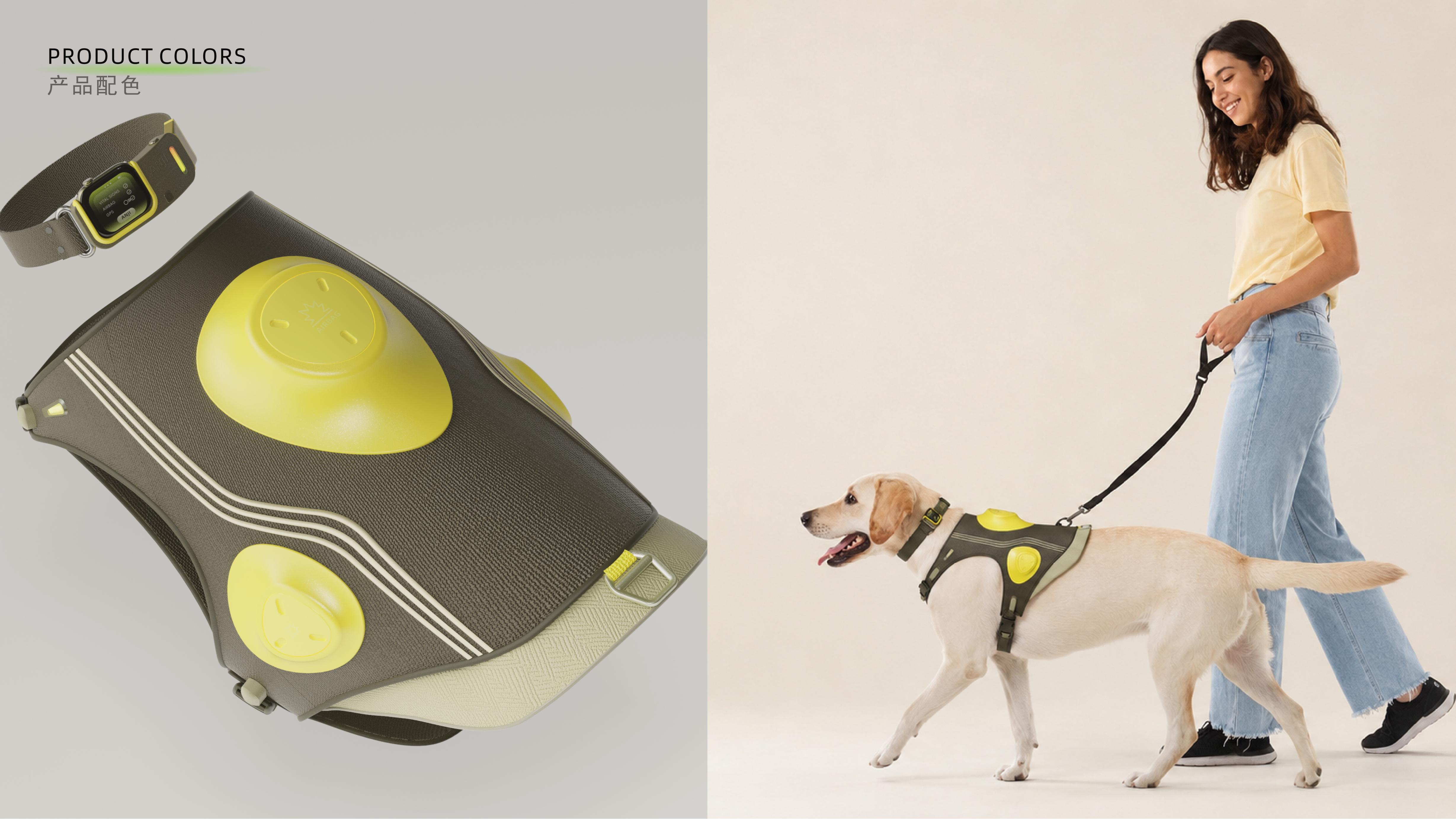 concept, pet, wear，
