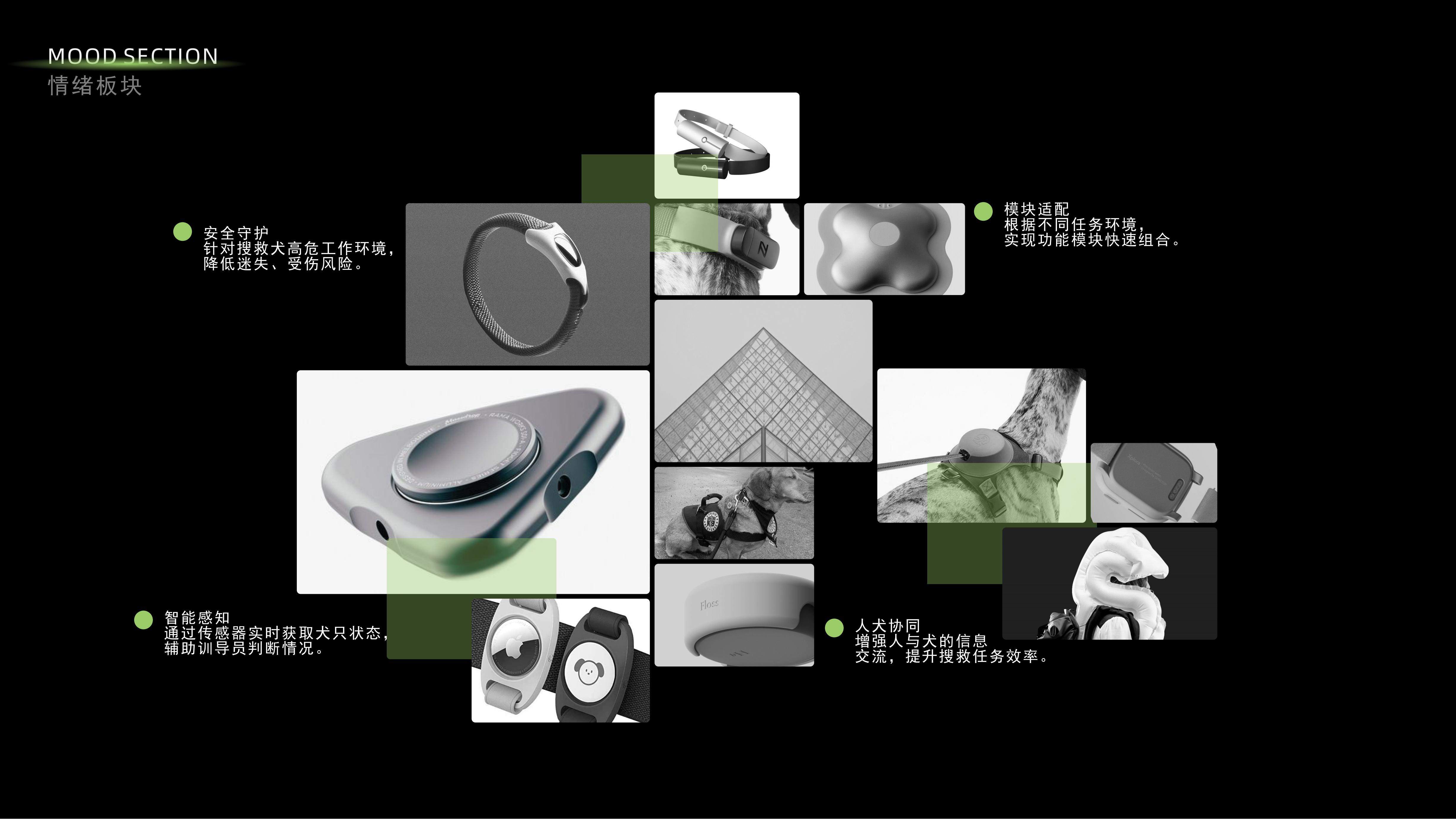concept, pet, wear，