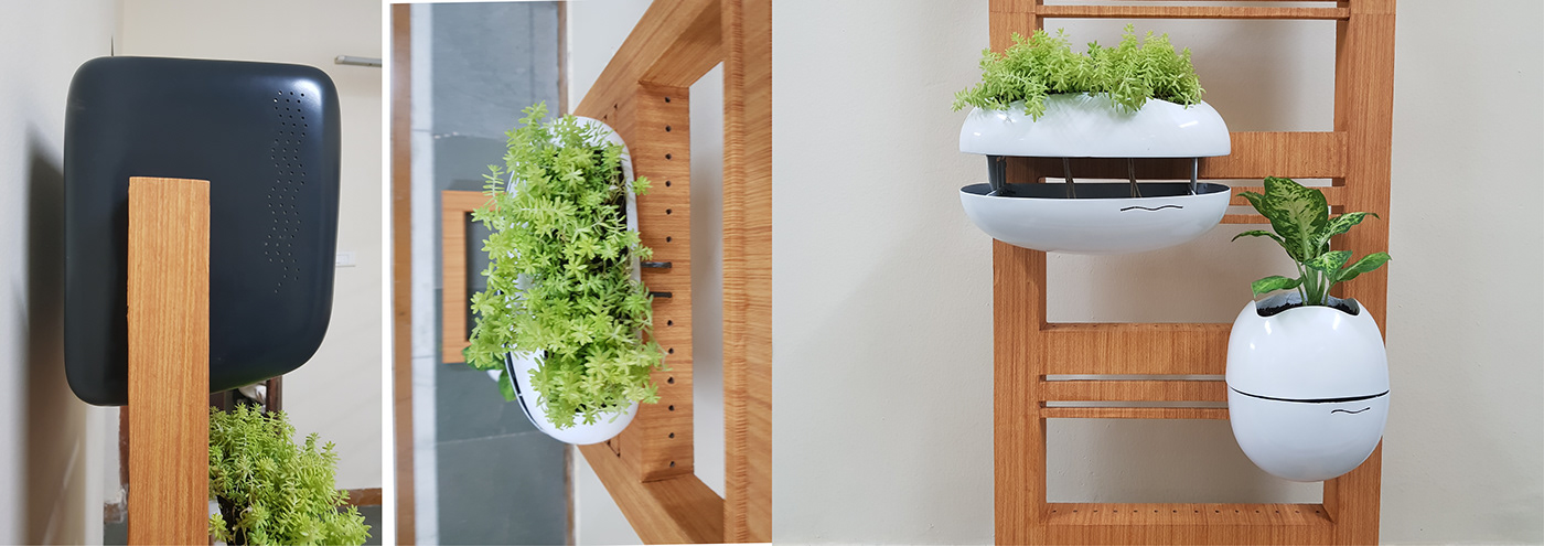 system，green，Botany，cultivate，gardening，