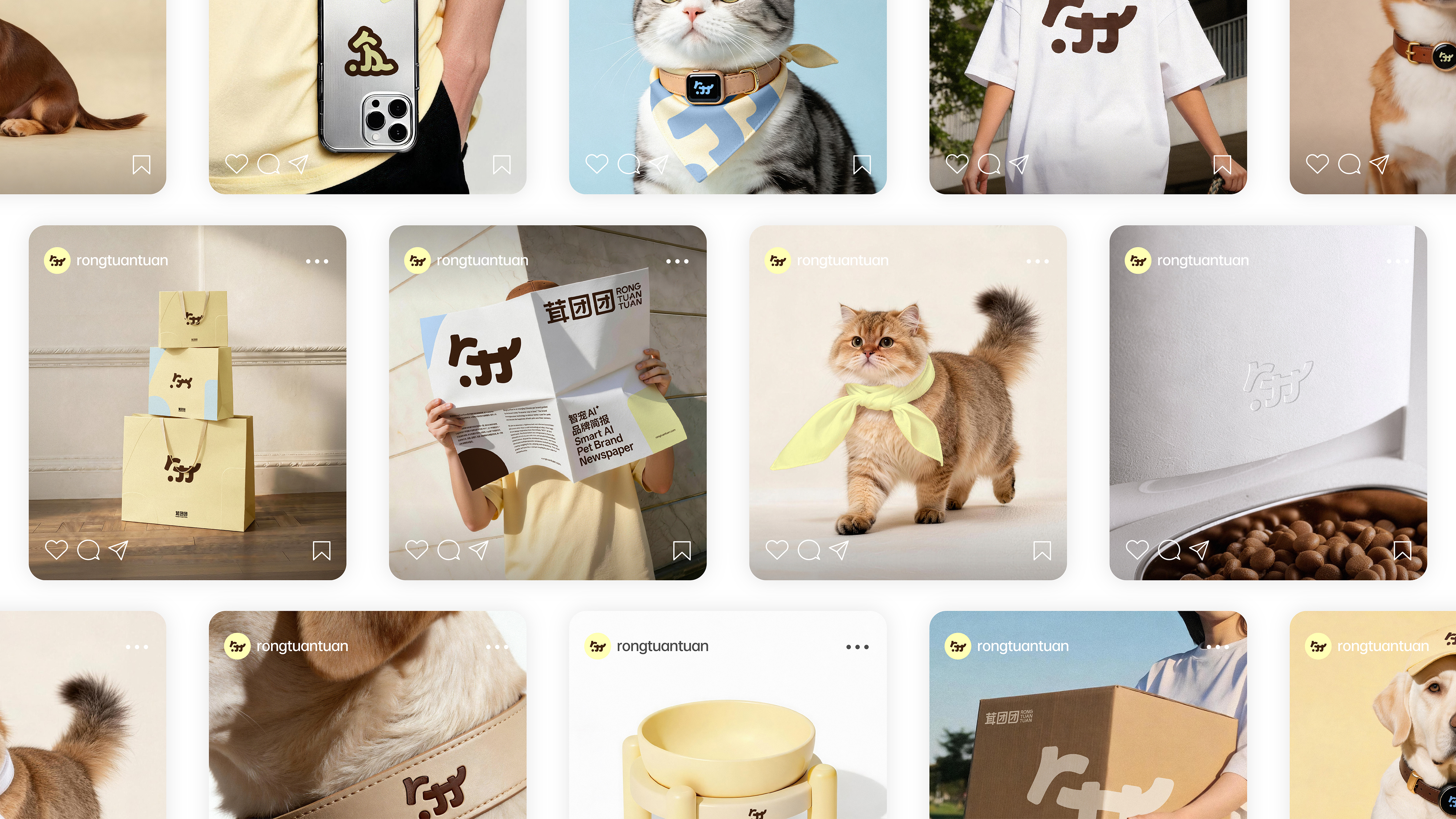 Logo design，VI design，Pet intelligence，
