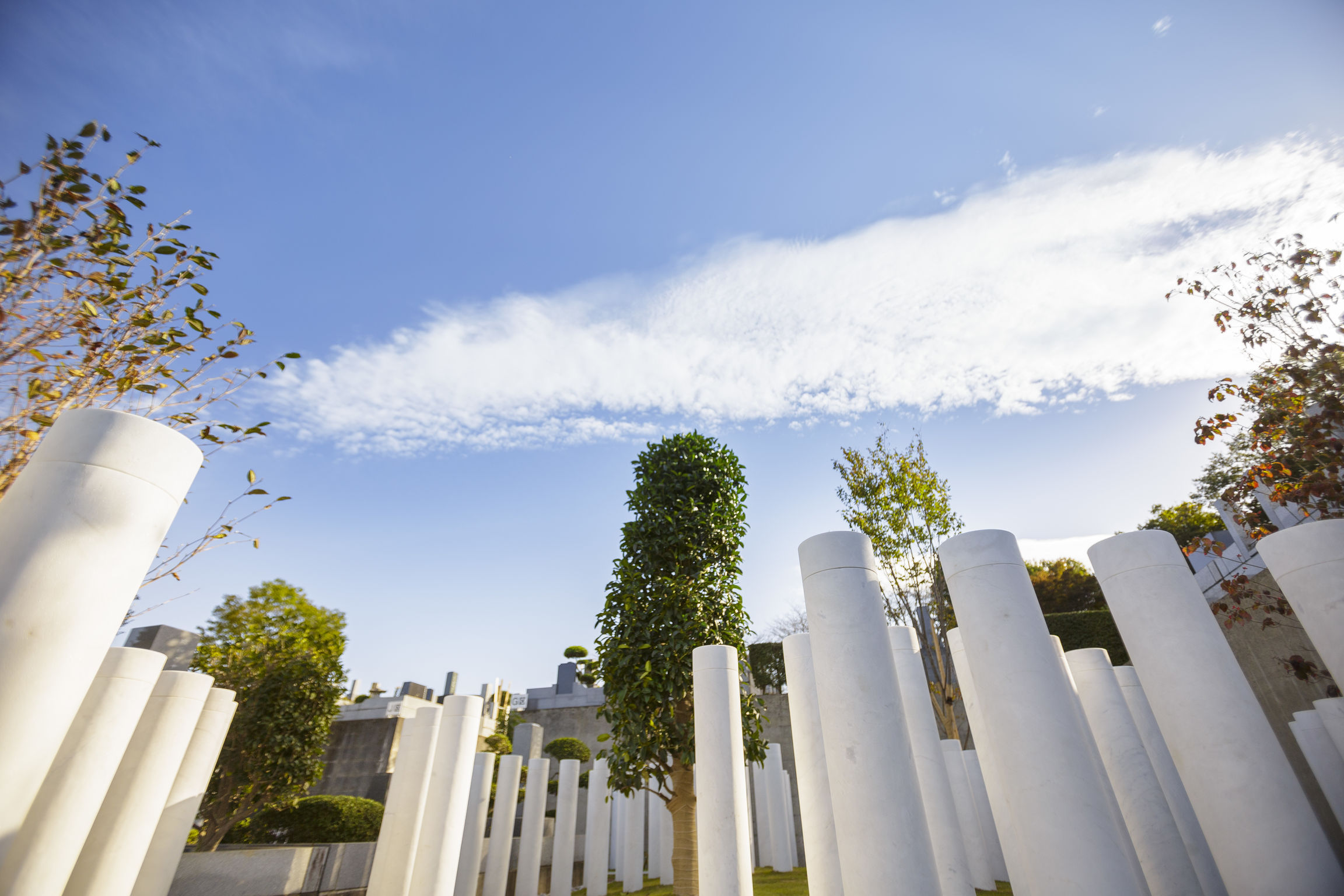 2018if Award，Architecture，outdoors，Cemetery design，