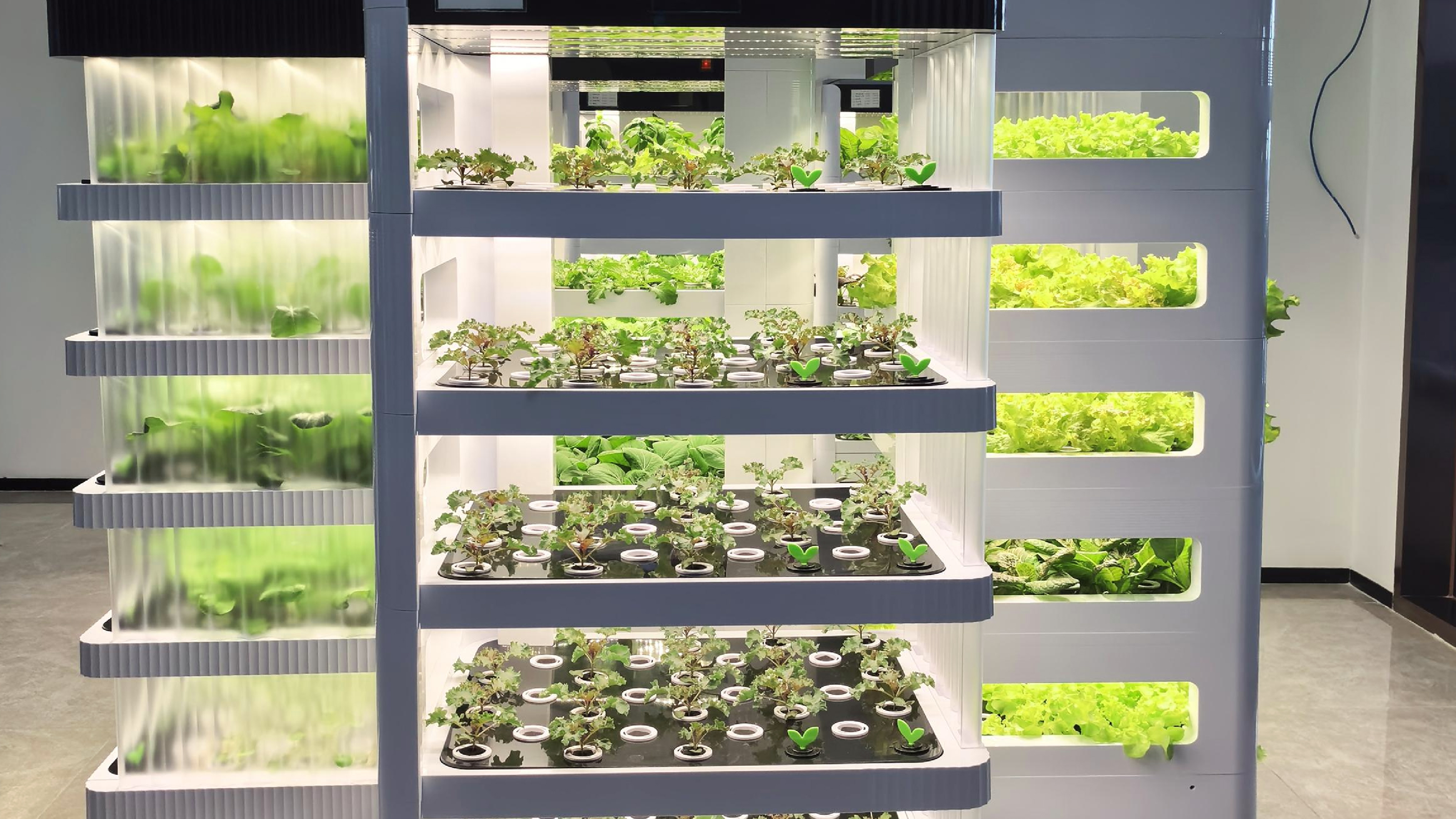 Indoor cultivation，Hydroponic planter，Air purification，Green pollution-free，industrial design，product design，Appearance design，