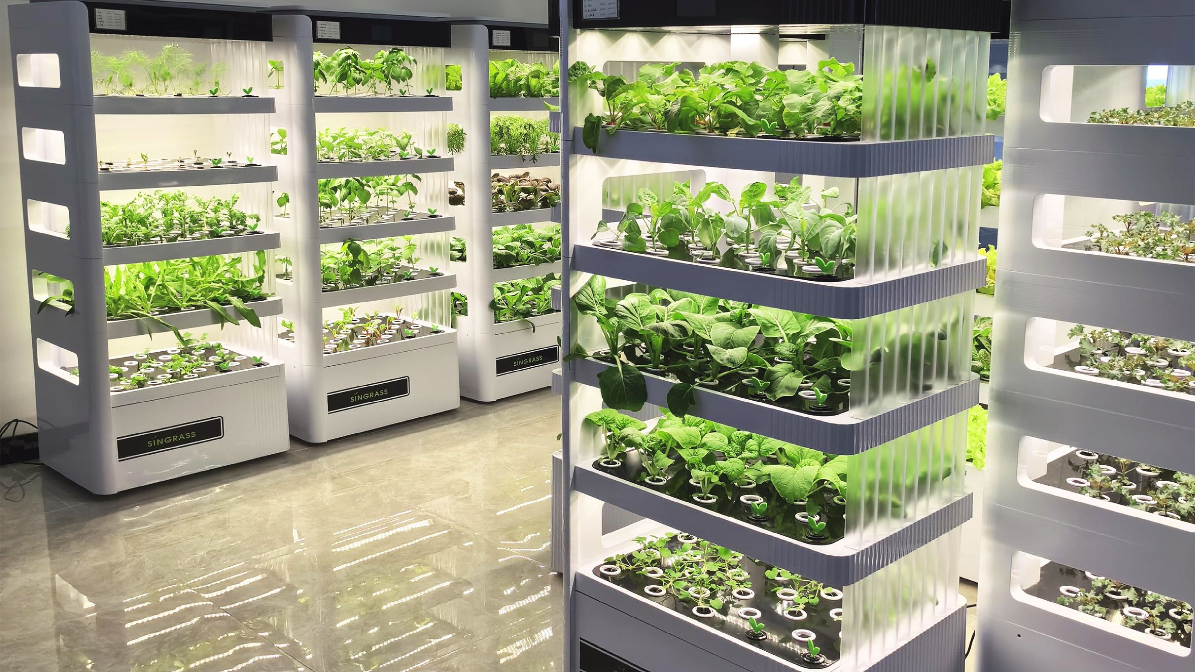 Indoor cultivation，Hydroponic planter，Air purification，Green pollution-free，industrial design，product design，Appearance design，