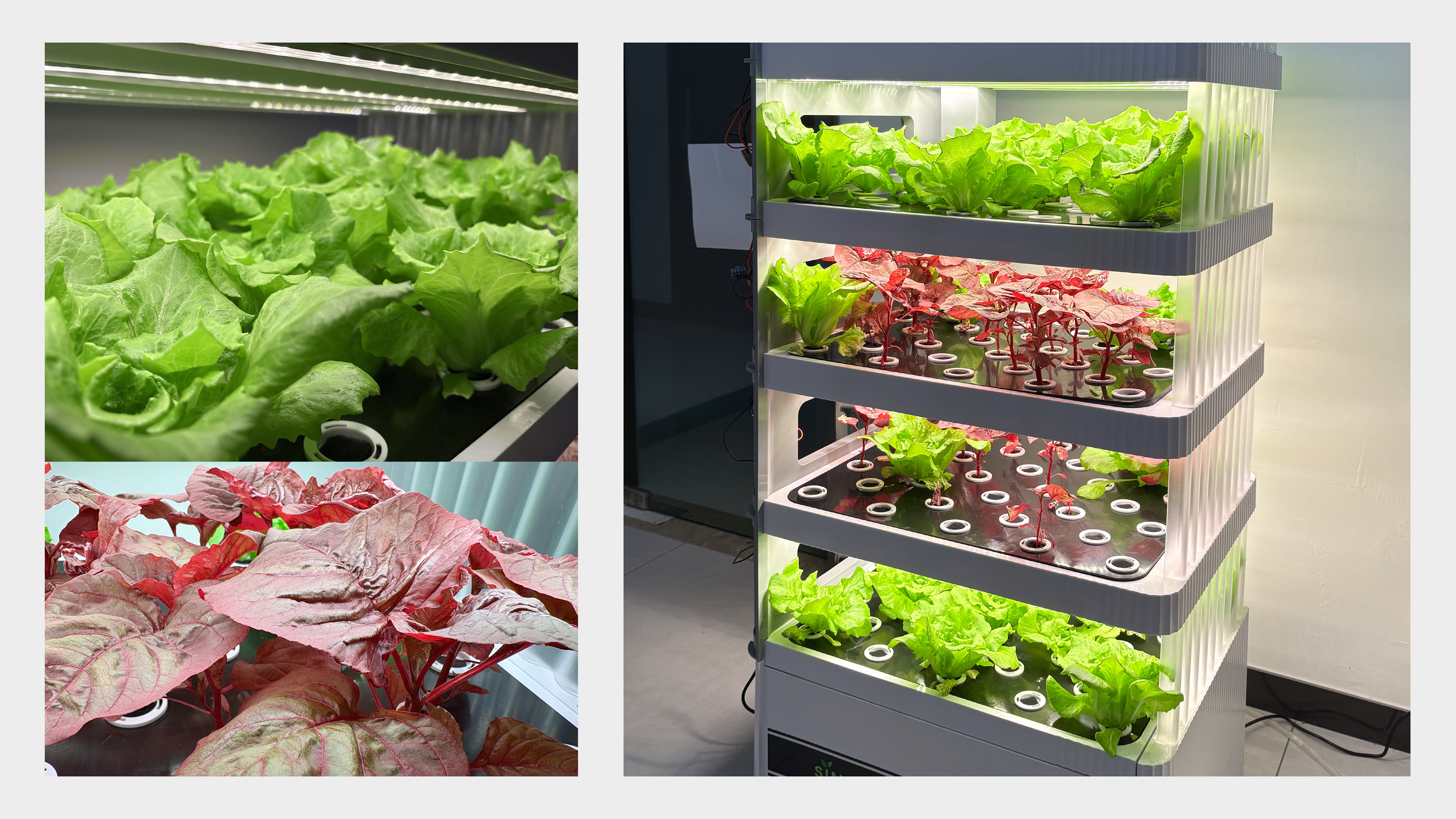 Indoor cultivation，Hydroponic planter，Air purification，Green pollution-free，industrial design，product design，Appearance design，