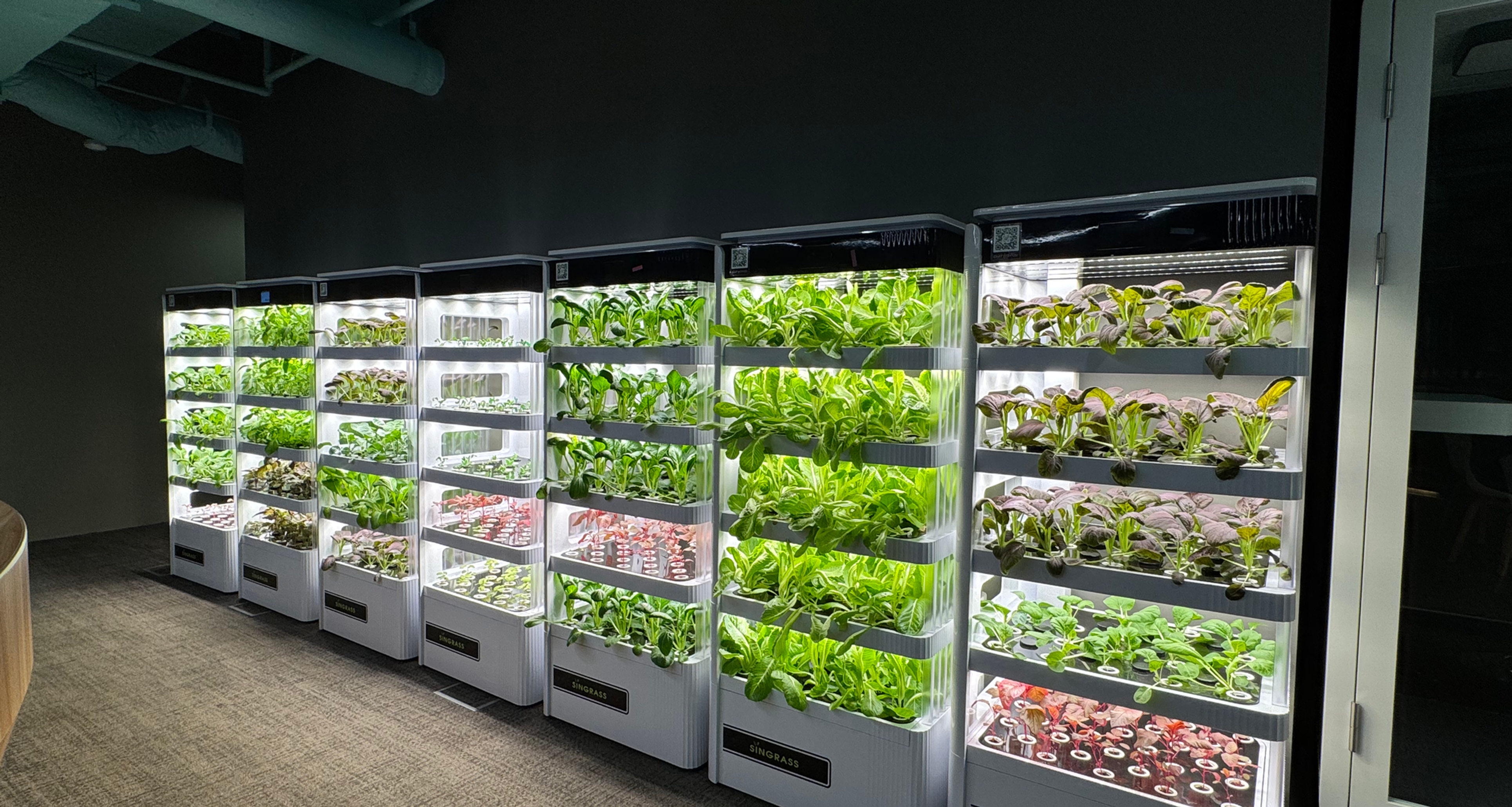 Indoor cultivation，Hydroponic planter，Air purification，Green pollution-free，industrial design，product design，Appearance design，