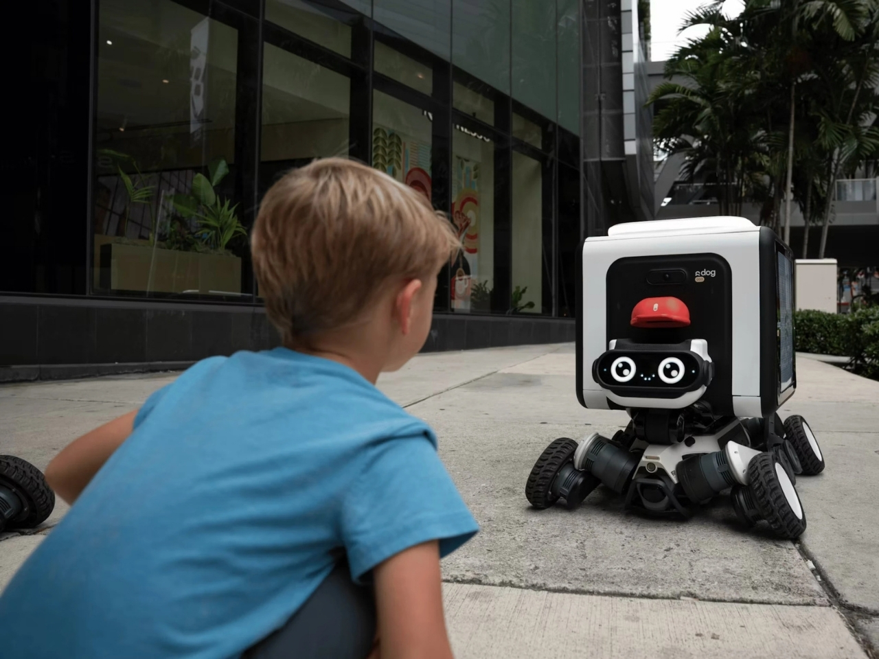 Digital，R‑dog，conceptual design，Distribution robot，