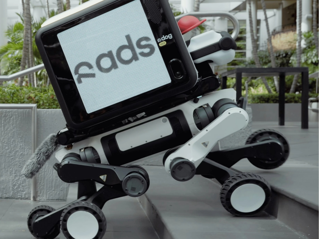 Digital，R‑dog，conceptual design，Distribution robot，
