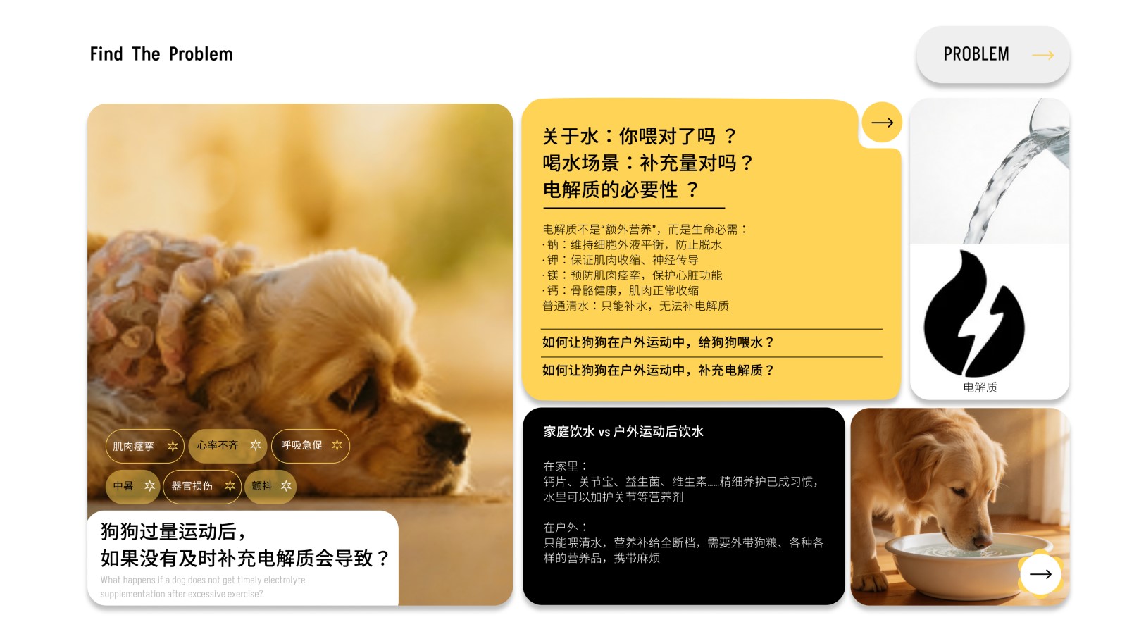 Pet water cup，sample reels，Pet Supplies & Pet，Dog water cup，Water feeder，