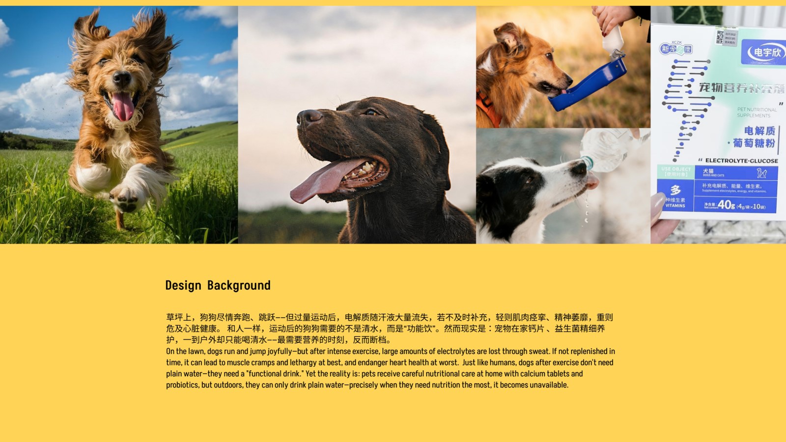 Pet water cup，sample reels，Pet Supplies & Pet，Dog water cup，Water feeder，