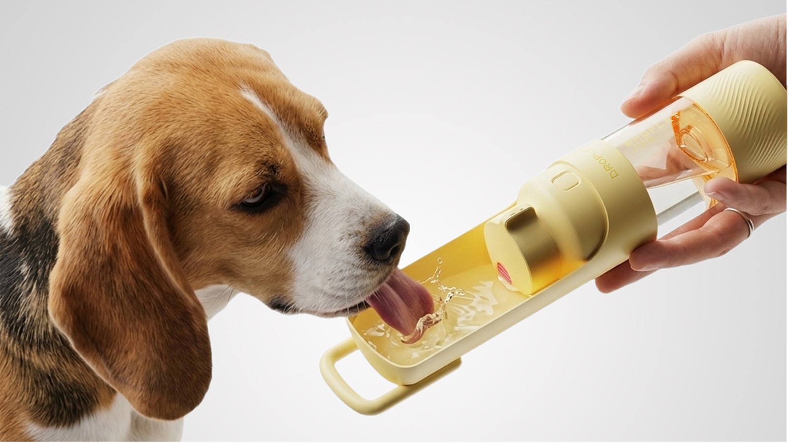 Pet water cup，sample reels，Pet Supplies & Pet，Dog water cup，Water feeder，