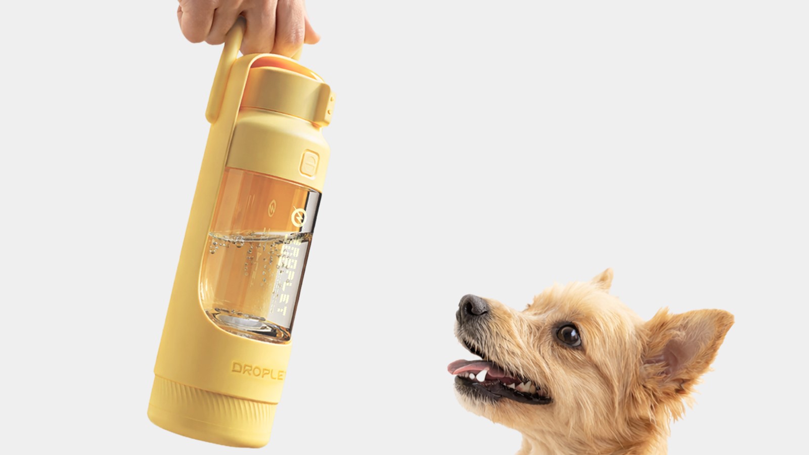 Pet water cup，sample reels，Pet Supplies & Pet，Dog water cup，Water feeder，