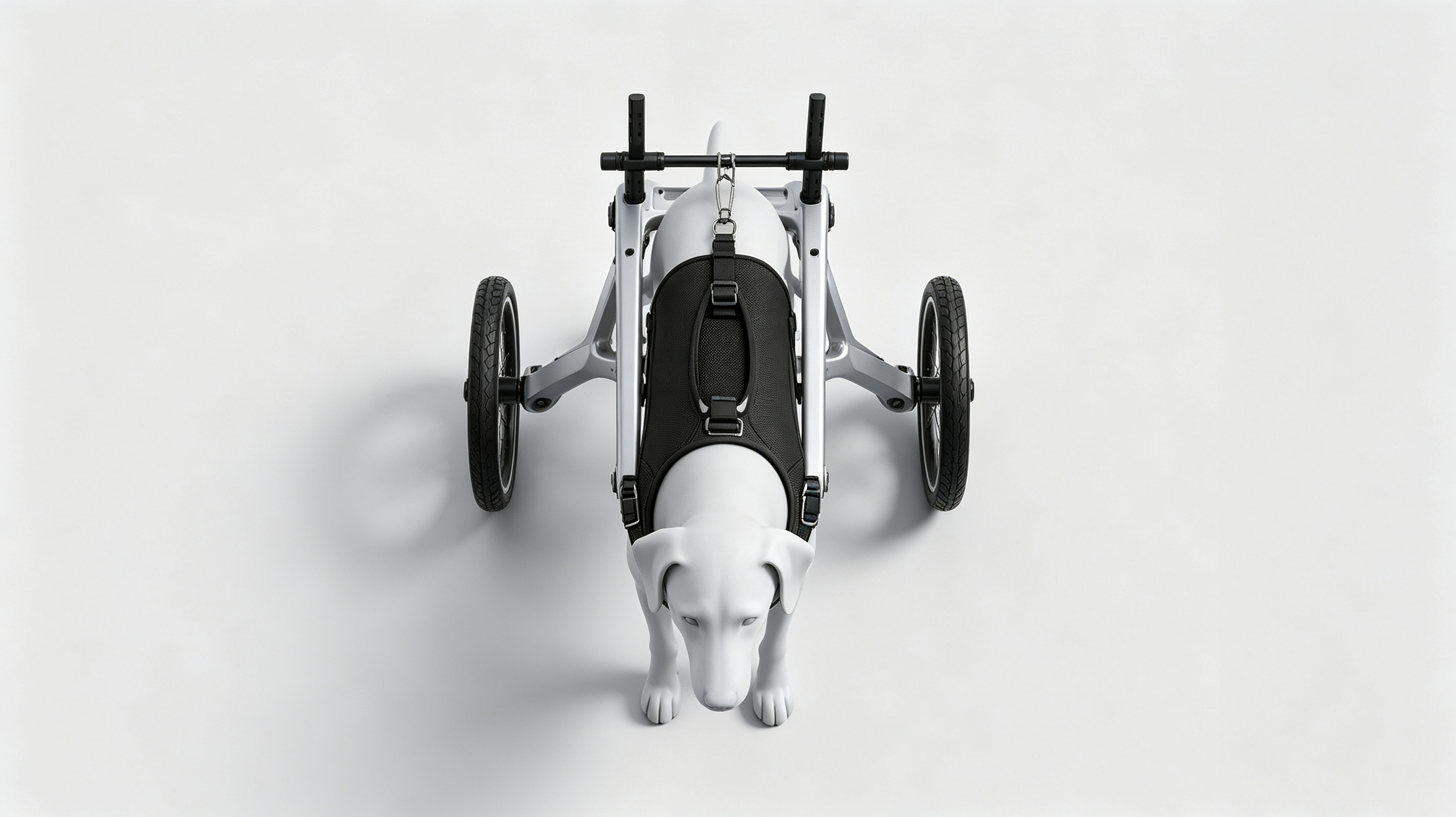 Pet Supplies & Pet，hind limb，Wheelchair for walking，