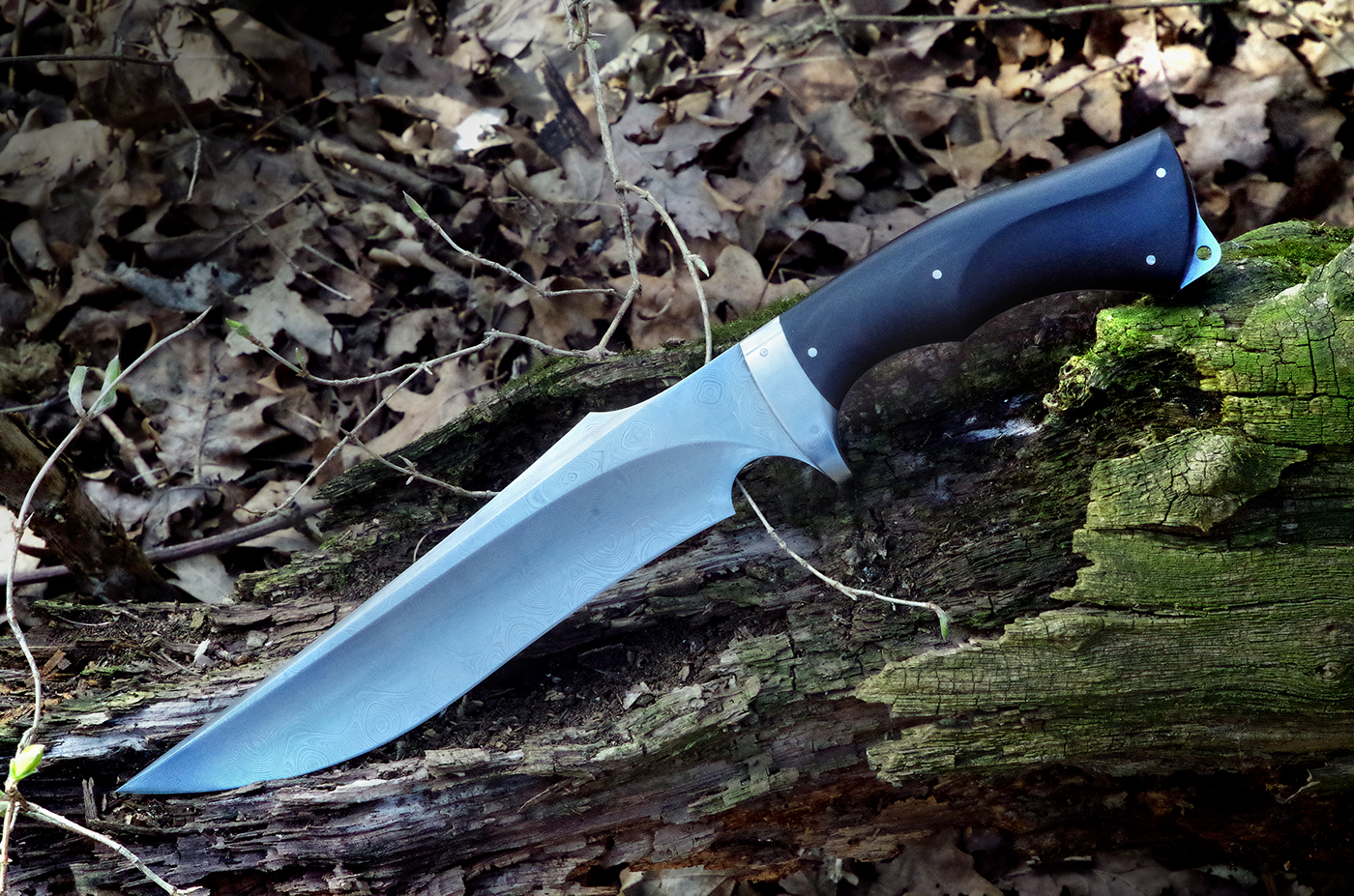 Knife "Predator"，outdoors，knife，