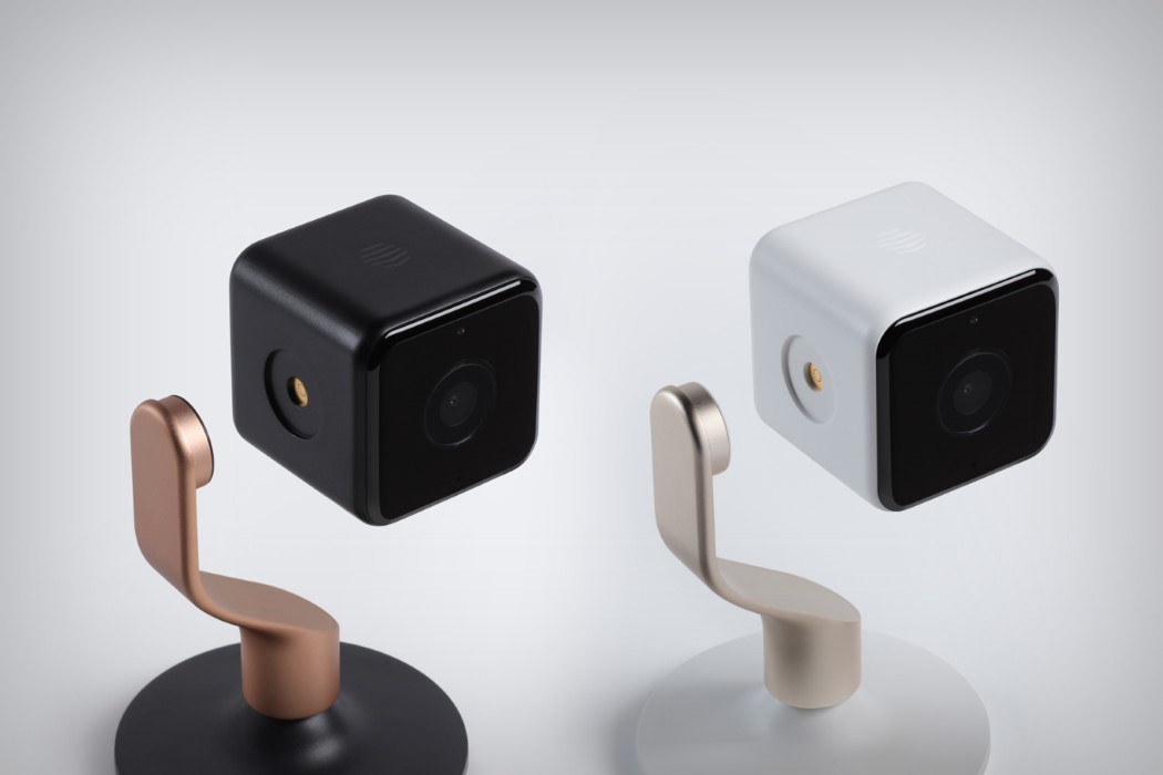 golden，white，camera，indoor，