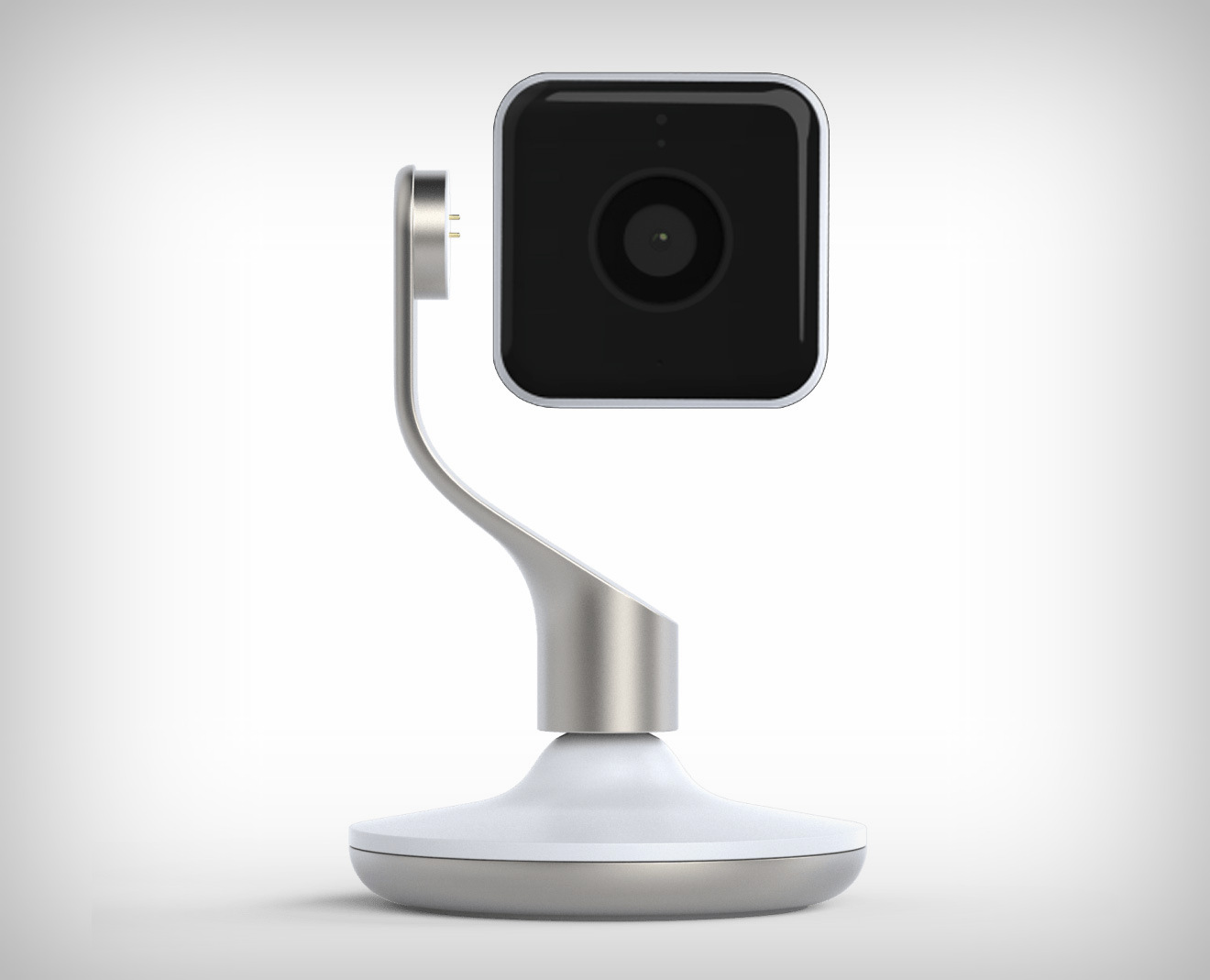 golden，white，camera，indoor，