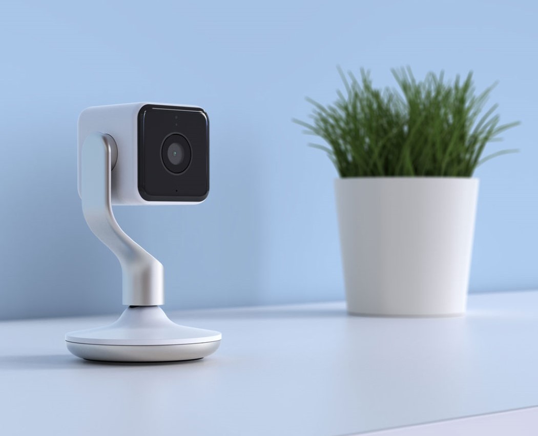 golden，white，camera，indoor，