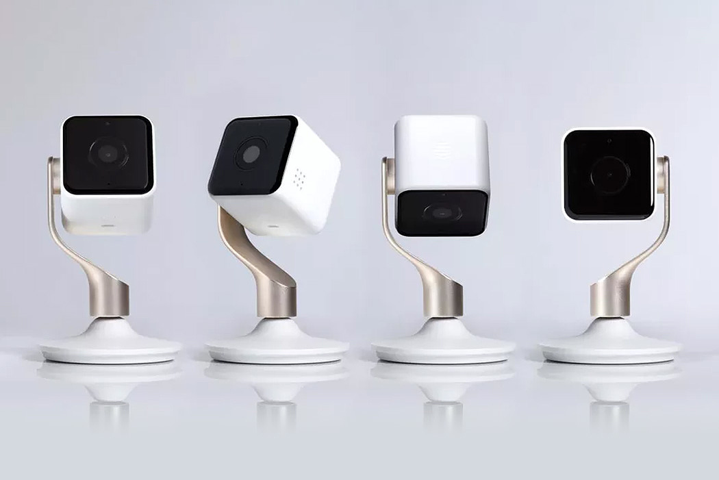 golden，white，camera，indoor，