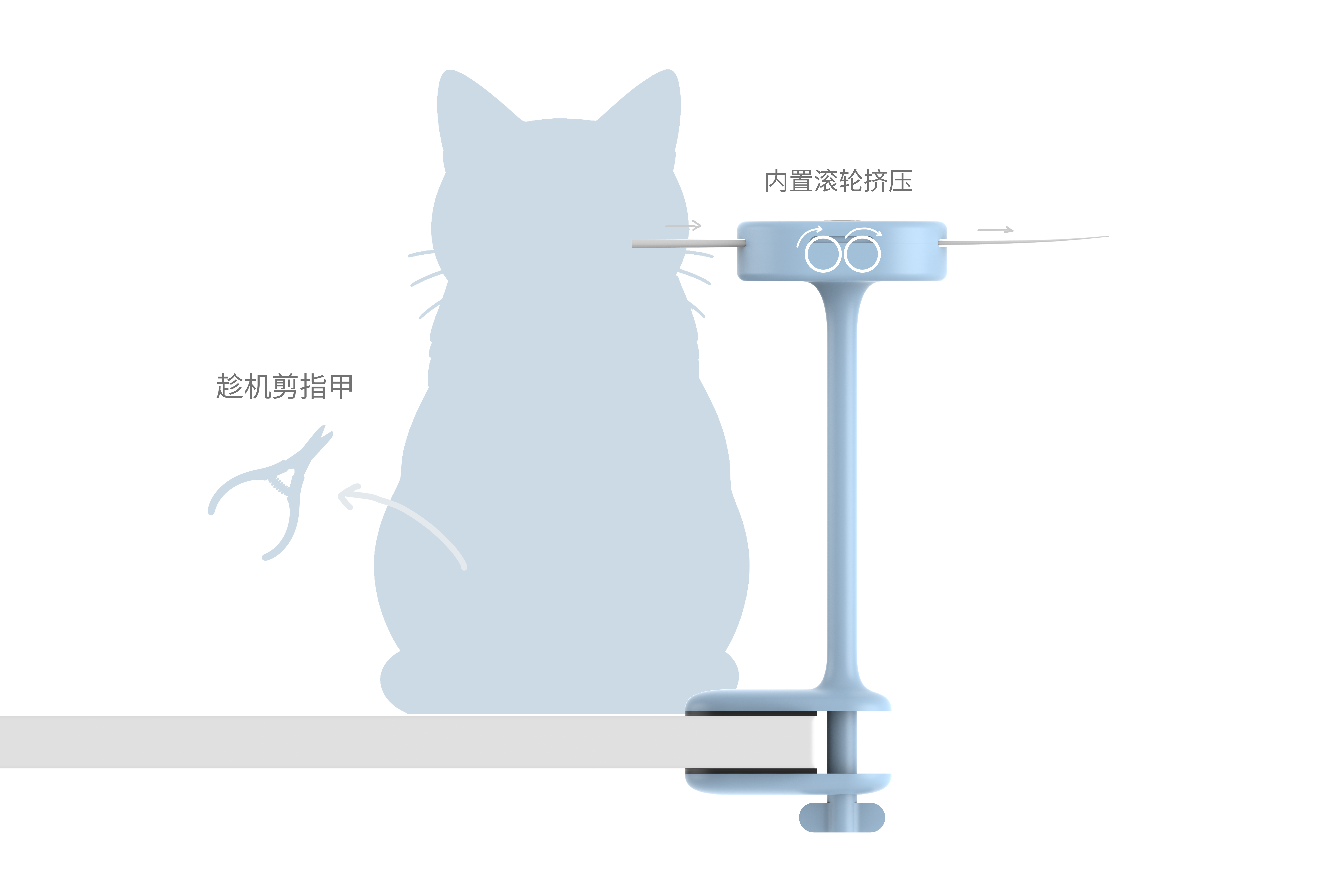 Living alone with a cat，Pet Supplies & Pet，One-Hour Design，Design inspiration，