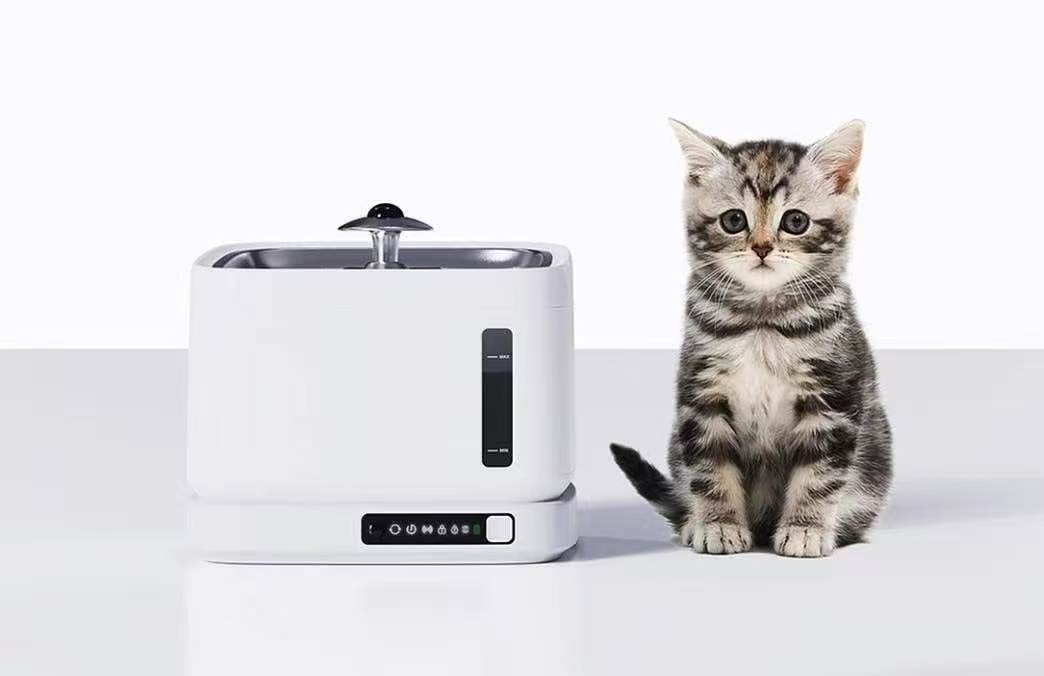 Pet water fountain case study，