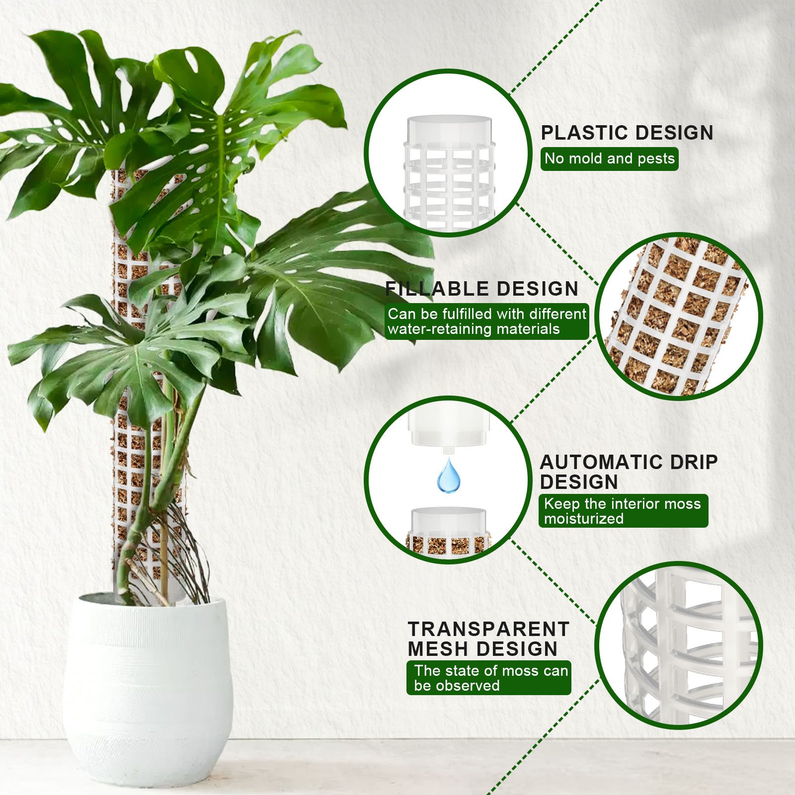 Amazon products，Part-time Art，Cross border E-commerce，Product modeling，