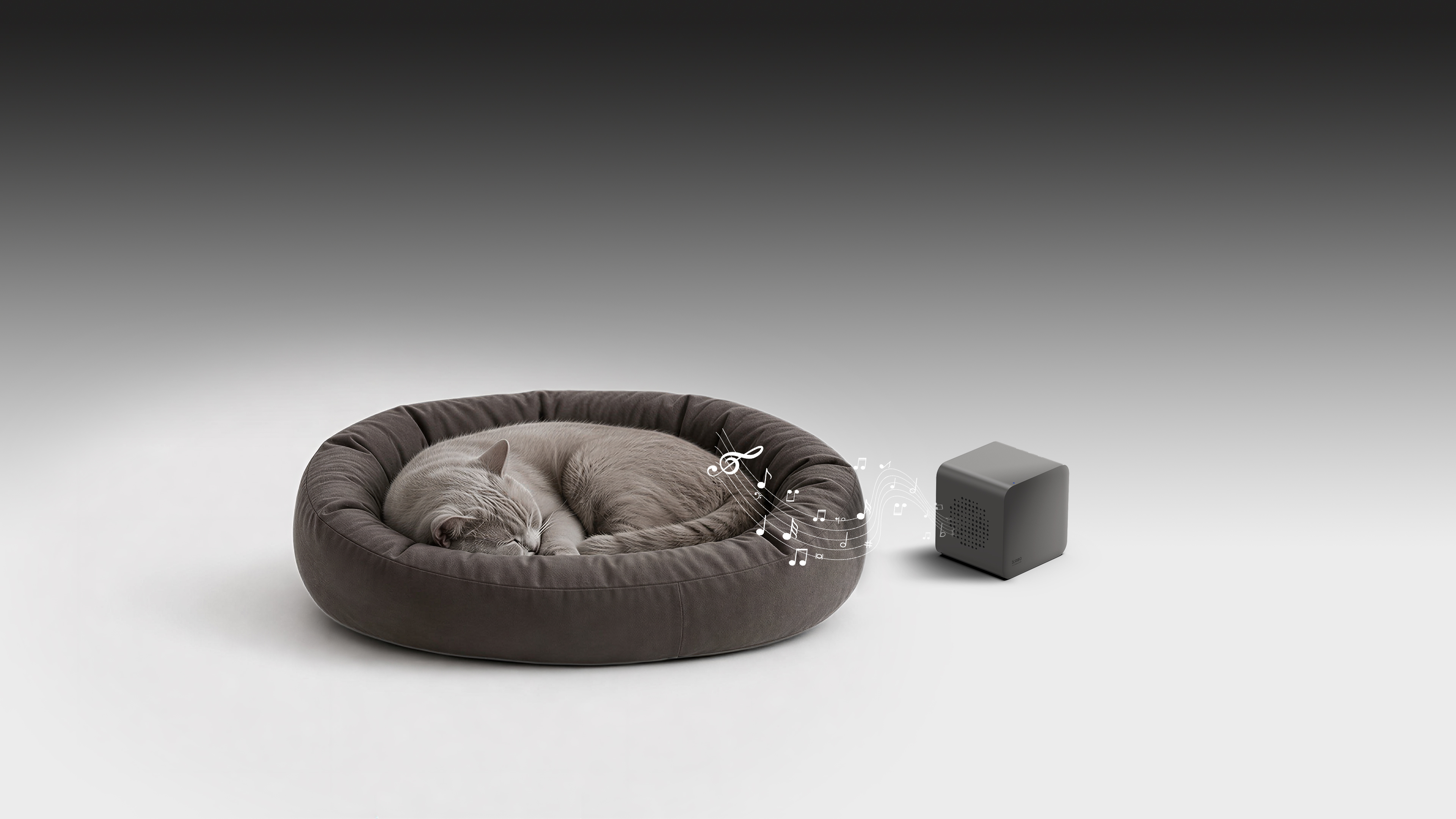 Pet Supplies & Pet，