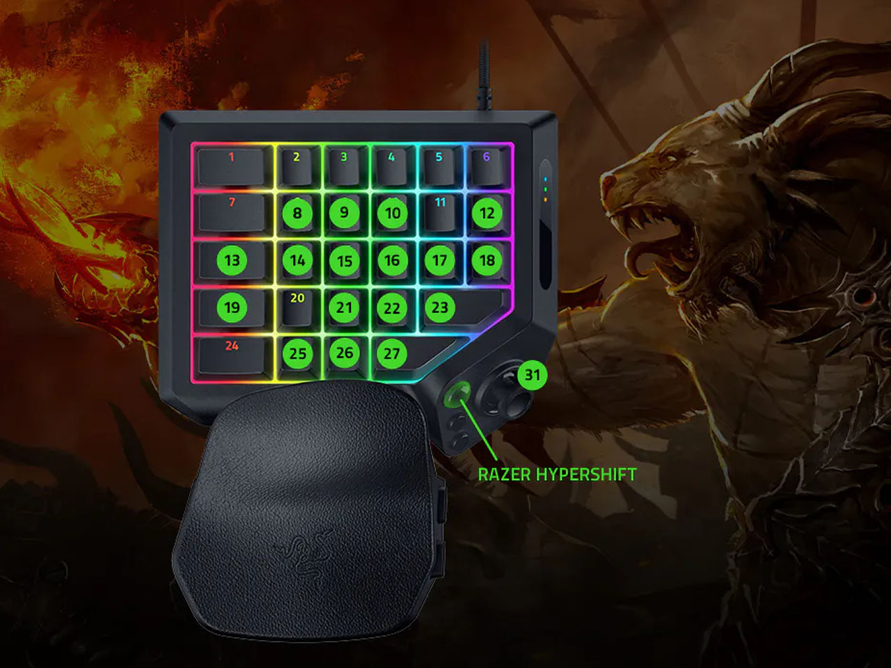 Digital，electronic product，Gaming keyboard，Thunder snake，Tartarus V2 Pro，