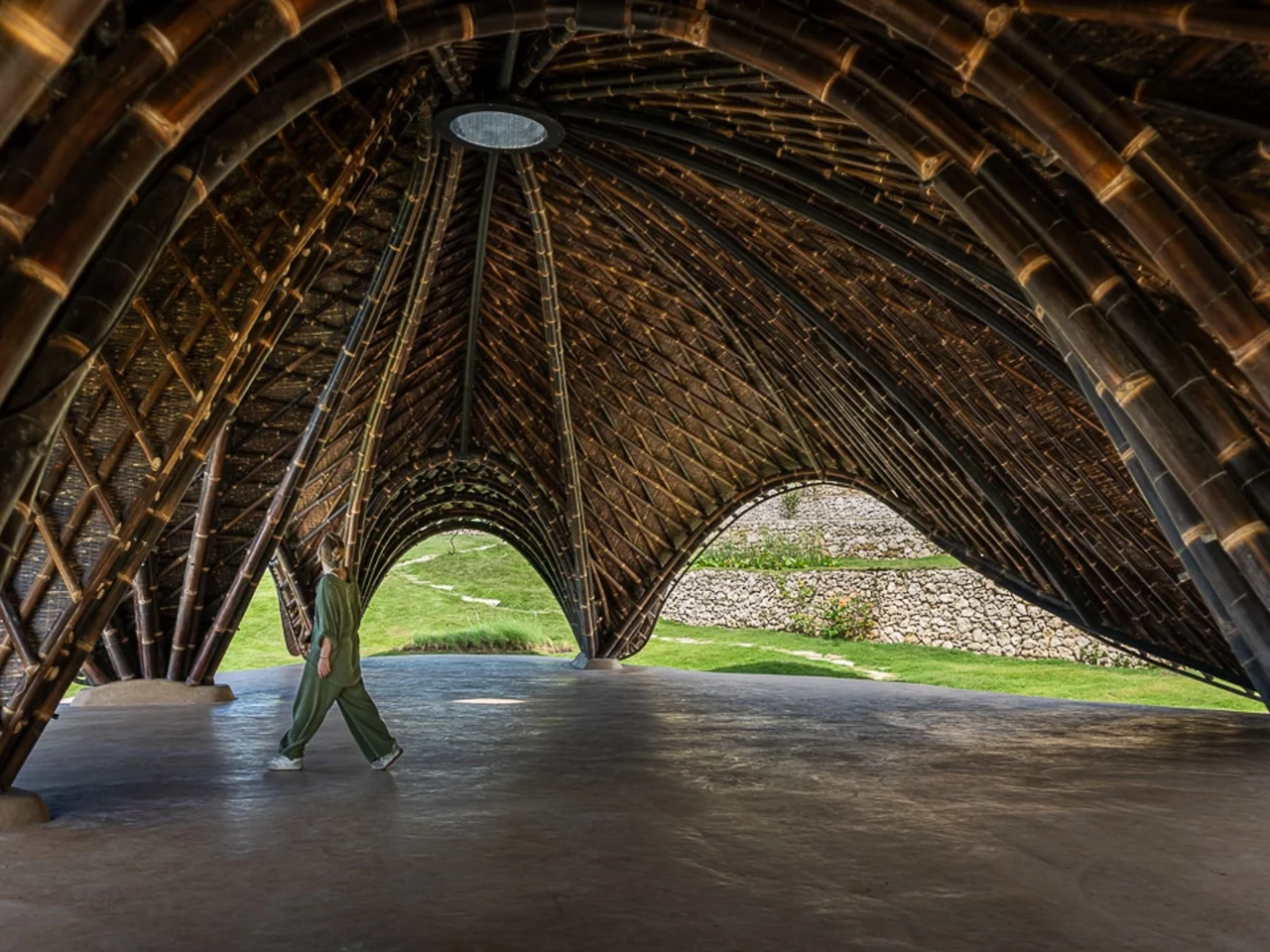 Lotus Yoga Shala，Lotus Yoga Studio，environmental design，Architecture，