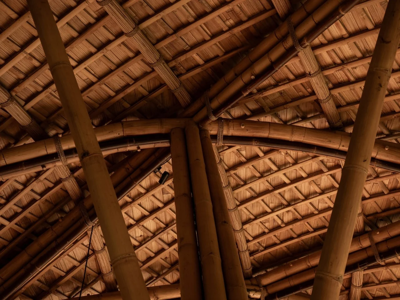 Lotus Yoga Shala，Lotus Yoga Studio，environmental design，Architecture，
