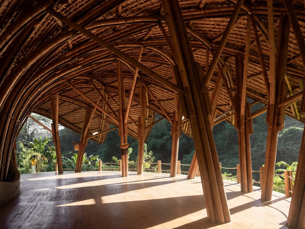 Lotus Yoga Shala，Lotus Yoga Studio，environmental design，Architecture，