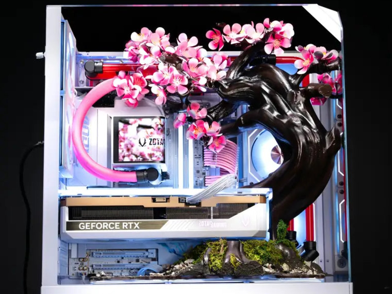 Cherry Bloom，Digital，electronic product，Game console，