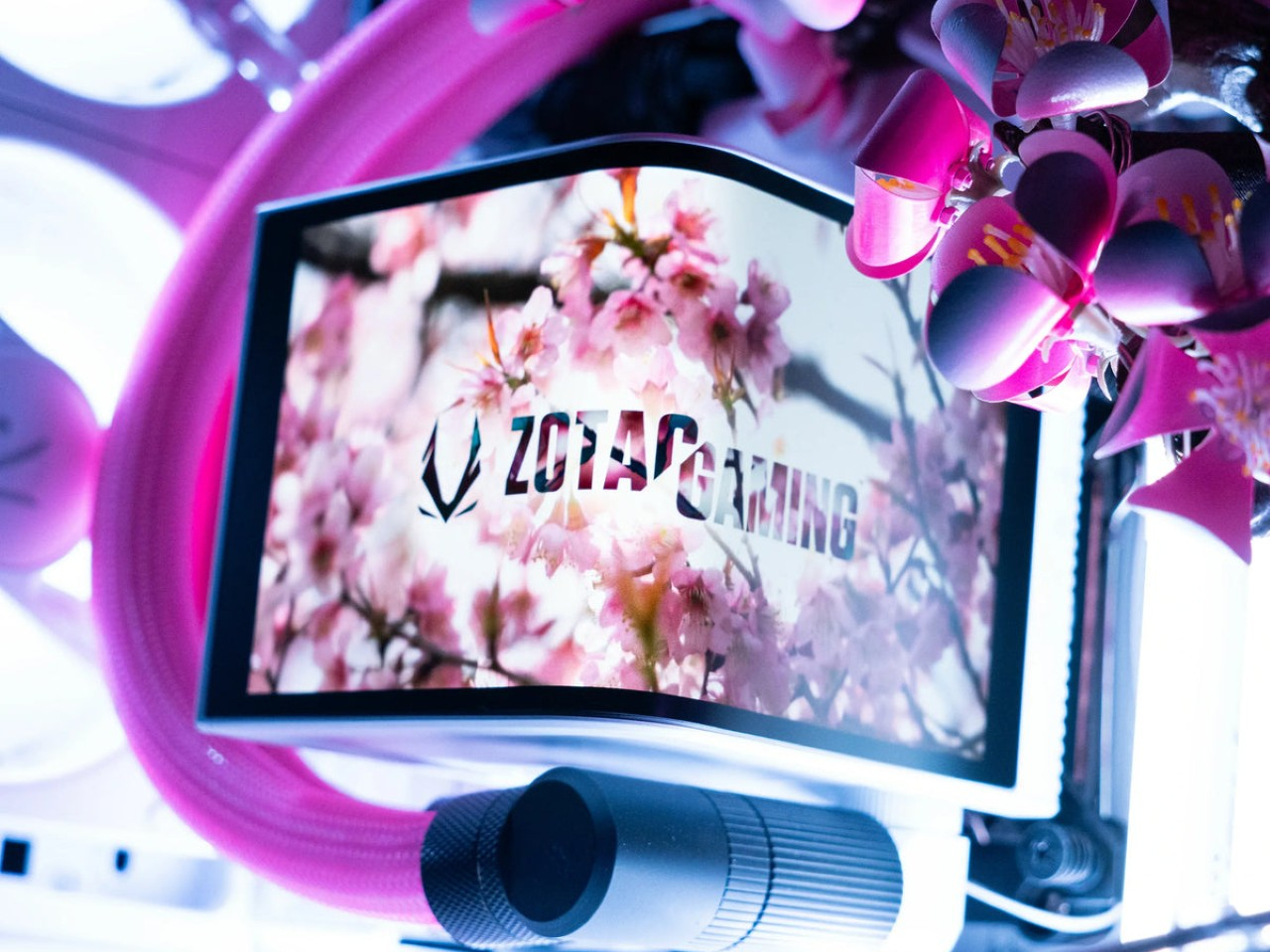 Cherry Bloom，Digital，electronic product，Game console，
